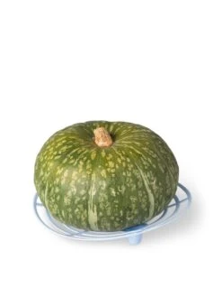 Melon And Squash Cradles, Set Of 6 -Garden Supply Store 8609464 5204 tif