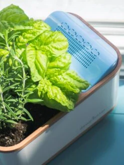 Dewplanter -Garden Supply Store 8609512 04V