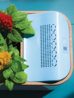 Dewplanter -Garden Supply Store 8609512 Dewplanter