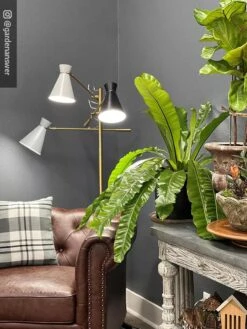 Adjustable 3-Arm Grow Lamp -Garden Supply Store 8609868 01IN tif