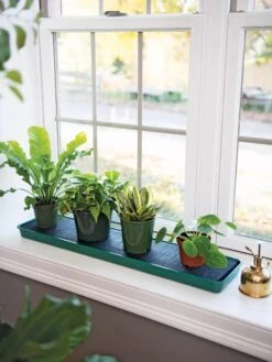 Self-Watering Windowsill Tray -Garden Supply Store 8609873 9011 tif