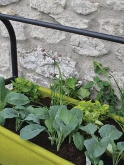 Vigoroot™ Self-Watering Easy Garden Planter 11 Vigoroot™ Self-Watering Easy Garden Planter -Garden Supply Store 8609879 04V tif