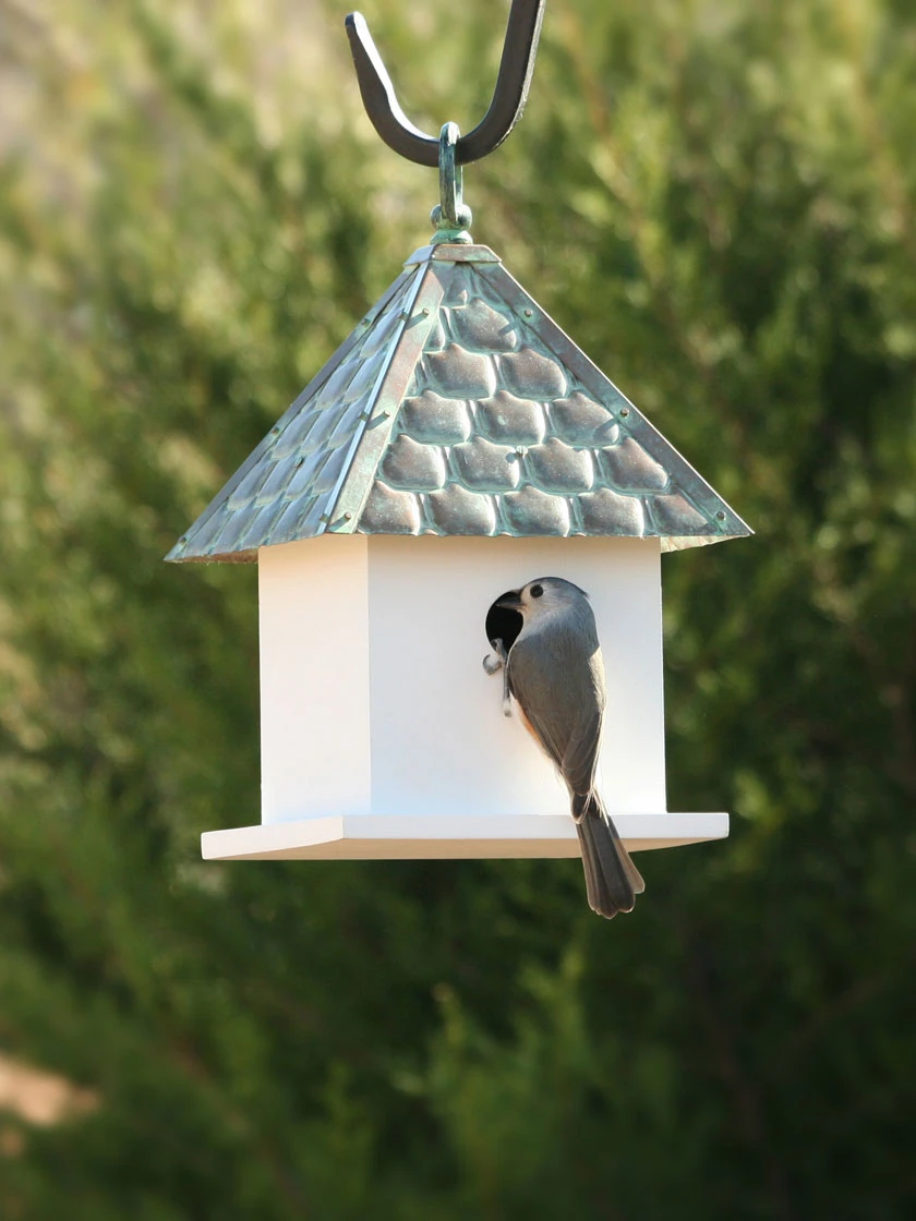 Bird House Bungalow With Verdigris Copper Roof 1 Bird House Bungalow With Verdigris Copper Roof