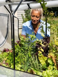 VegTrug®Patio Garden Greenhouse Cover Kit -Garden Supply Store 8610172 1256