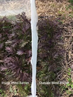 Wind Screen -Garden Supply Store 8610175 1245 tif