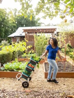 Mod Hod Trolley With Teal Mod Hods -Garden Supply Store 8610240 0070 tif