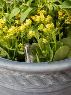 Adjustable Self-Watering Insert For Pots And Planters 19 Adjustable Self-Watering Insert For Pots And Planters -Garden Supply Store 8610250 0010 tif