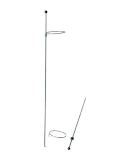 Peacock Mini Plant Support Rings 4", Set Of 2 -Garden Supply Store 8610386 9566