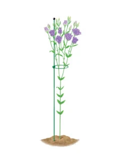 Peacock Mini Plant Support Rings 4", Set Of 2 -Garden Supply Store 8610386 peacock4x36