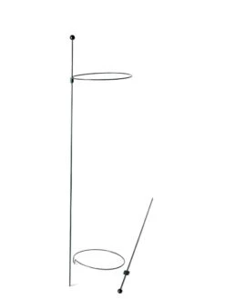 Peacock Mini Plant Support Rings 8", Set Of 2 -Garden Supply Store 8610388 9565 tif