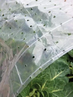 Ventilated Row Cover, 6.5' X 32.5'