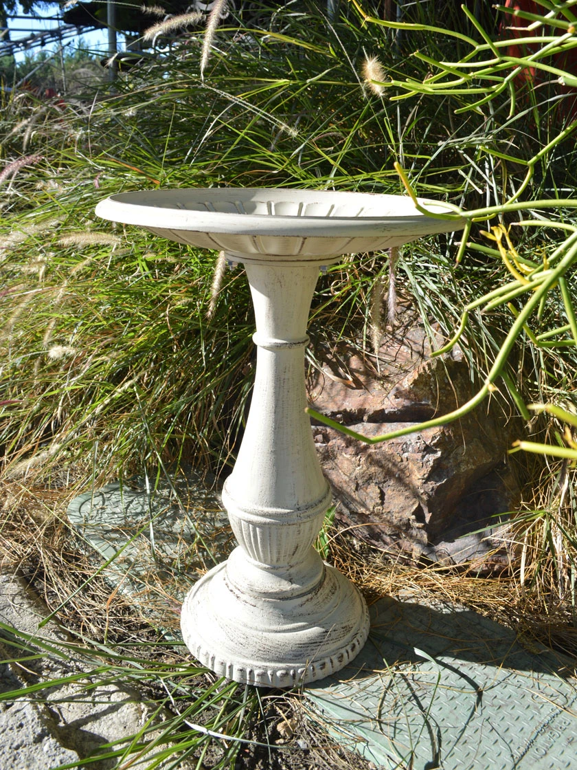 Kingston Birdbath 1 Kingston Birdbath