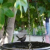 Floral Motif Hanging Birdbath