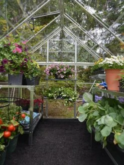 Canopia® By Palram Harmony™ Greenhouse, 6' X 14' -Garden Supply Store 8610563 03V jpg