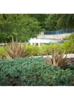 Desert Steel Sharkskin Agave Sculpture -Garden Supply Store 8610753 05v