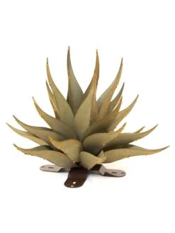 Desert Steel Sharkskin Agave Sculpture -Garden Supply Store 8610754 01v desert steel sharkskin agave small