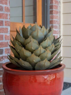 Desert Steel Artichoke Agave Sculpture