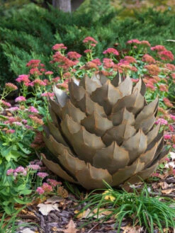 Desert Steel Artichoke Agave Sculpture -Garden Supply Store 8610761 03v