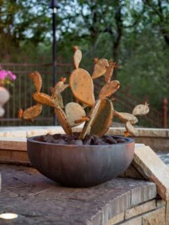 Desert Steel Prickly Pear Cactus Sculpture, Redondo -Garden Supply Store 8610768 03v