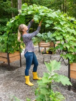 2’ X 8’ Arch Trellis For Planter Boxes 13 2’ X 8’ Arch Trellis For Planter Boxes -Garden Supply Store 8610798 050 tif