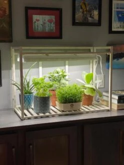 Oslo 1-Tier LED Grow Light Garden 12 Oslo 1-Tier LED Grow Light Garden -Garden Supply Store 8611002 01IN tif