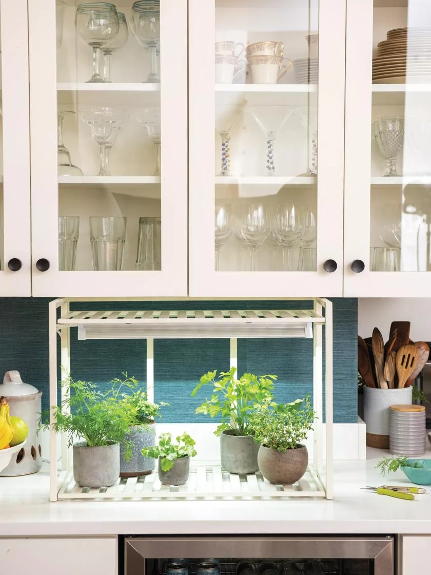 Oslo 1-Tier LED Grow Light Garden 1 Oslo 1-Tier LED Grow Light Garden