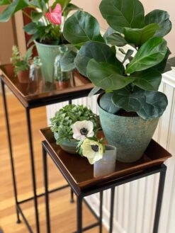 Square Nesting Plant Stands With Trays, Set Of 2 -Garden Supply Store 8611014 3651 tif