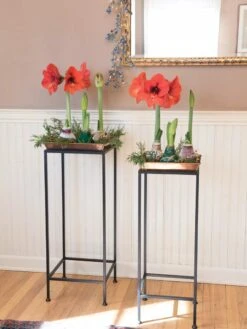 Square Nesting Plant Stands With Trays, Set Of 2