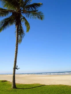 MAXSA® Solar-Powered LED Flag Light 7 MAXSA® Solar-Powered LED Flag Light -Garden Supply Store 8611318 02v