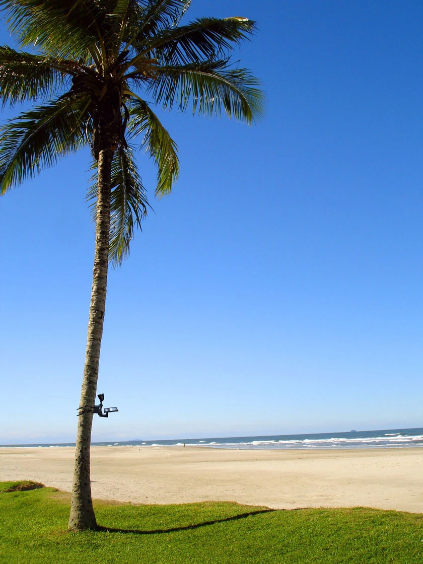 MAXSA® Solar-Powered LED Flag Light 3 MAXSA® Solar-Powered LED Flag Light - Image 3