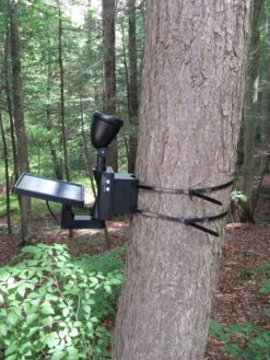 MAXSA® Solar-Powered LED Flag Light 9 MAXSA® Solar-Powered LED Flag Light -Garden Supply Store 8611318 03v