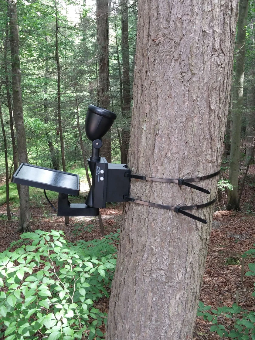 MAXSA® Solar-Powered LED Flag Light 5 MAXSA® Solar-Powered LED Flag Light - Image 5