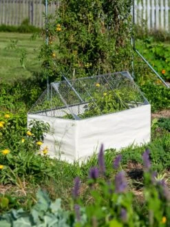 Crop Coop Covers Set -Garden Supply Store 8611698 005 tif