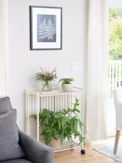 New Products -Garden Supply Store 8611766 0044 tif