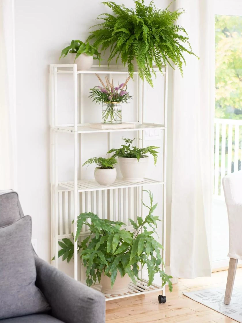 Oslo 4-Tier Plant Stand With Folding Shelves 2 Oslo 4-Tier Plant Stand With Folding Shelves - Image 2