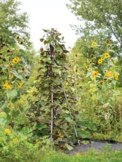 DIY Connector For Teepee Trellis -Garden Supply Store 8611896 062 tif