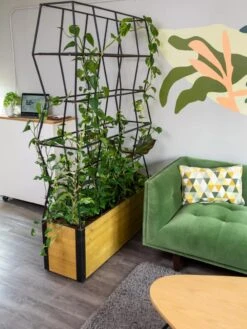 Self-Watering Partition Planter -Garden Supply Store 8611952 001 tif