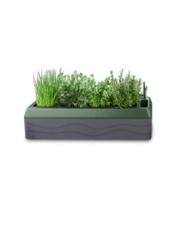 Provence Self-Watering Herb Planter -Garden Supply Store 8611965 03V tif