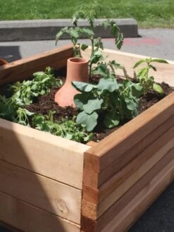 Hydro Max Watering System