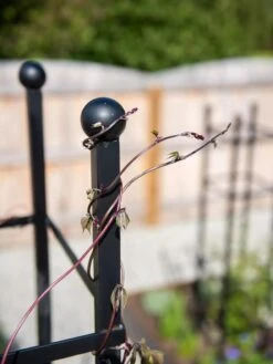 Essex Square Obelisk -Garden Supply Store 8611984 278 tif