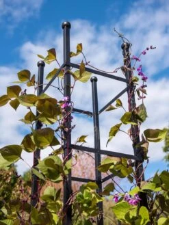 Essex Square Obelisk -Garden Supply Store 8611984 354 tif