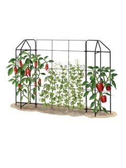 Zenith Trellis -Garden Supply Store 8612035 art tif
