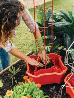 Deluxe Tomato Halos, Set Of 2 -Garden Supply Store 8612045 135 tif