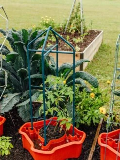 Deluxe Tomato Halos, Set Of 2 -Garden Supply Store 8612045 221 tif