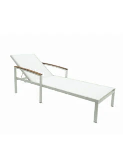 Braylee Reclining Chaise Lounge -Garden Supply Store 8612262 08v