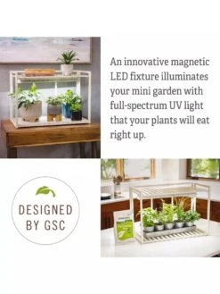 Tabletop Grow Kit 11 Tabletop Grow Kit -Garden Supply Store 8612507 4