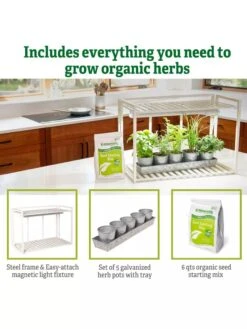 Tabletop Grow Kit 13 Tabletop Grow Kit -Garden Supply Store 8612507 6