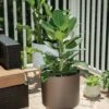 Ava Self-Watering Round Planter