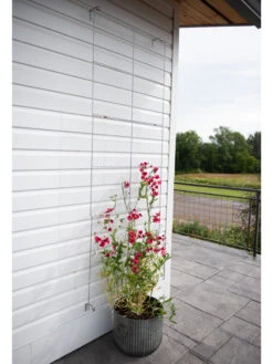 Chicken Wire Wall Trellis 14 Chicken Wire Wall Trellis -Garden Supply Store 8612717 0081