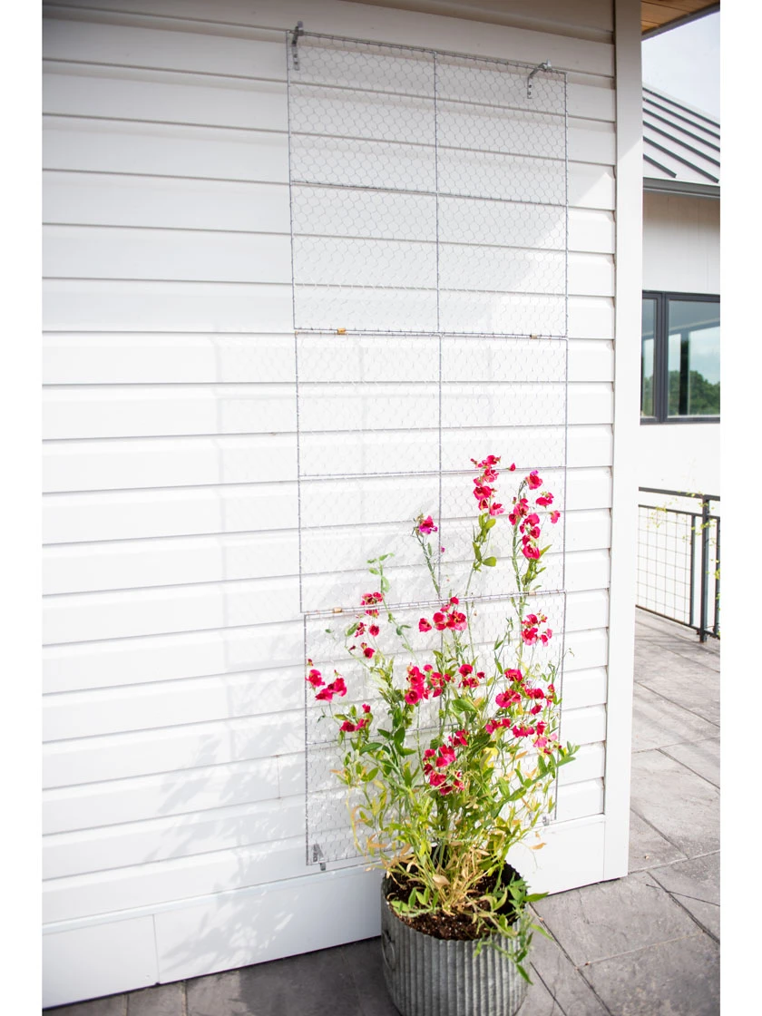 Chicken Wire Wall Trellis 5 Chicken Wire Wall Trellis - Image 5